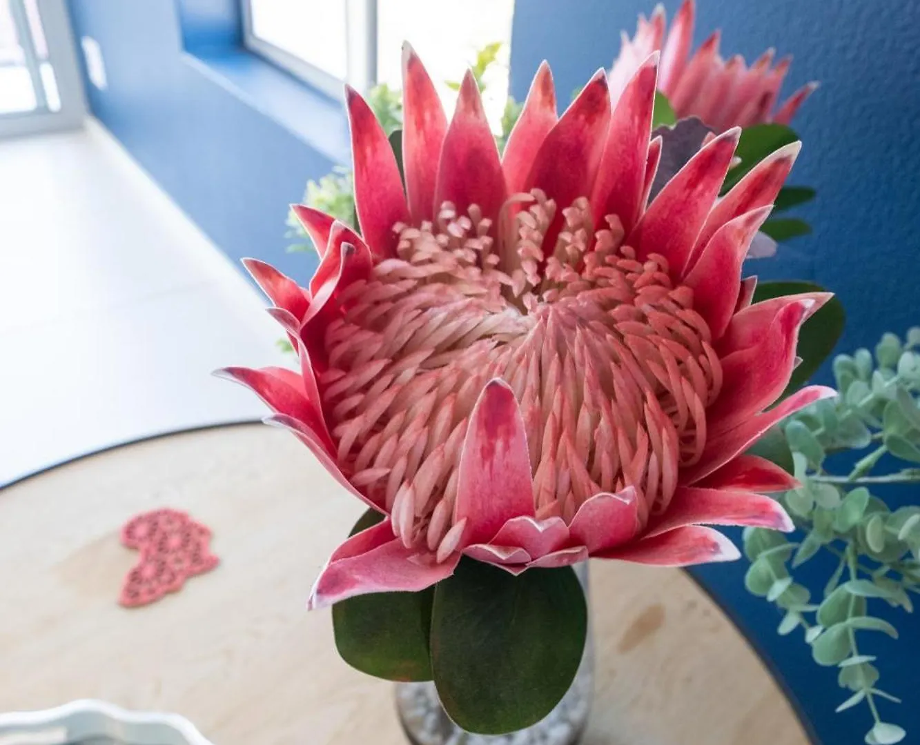 The Rose 506: Studio Apartment With Rooftop Pool Κέιπ Τάουν